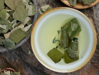 荷葉茶為什么叫短命茶？