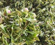 臨沂特產(chǎn)送人必買清單？