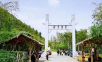 5月12日：徒步貢茶古道，天然氧吧，綠色之旅